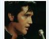 Elvis  #7
