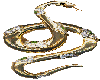 Gold and Diamond Snake