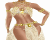 J*Belly Dancer Outfit