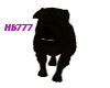 HB777 Shar Pei Pet Black