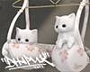 金 Cute Kittens In BRA