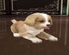 Animated Cute Puppy