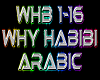 Why Habibi rmx