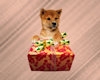 Puppy~Christmas Present