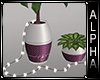 ::Lake House Pot Plants