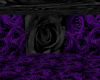 Purple N Black Rose Room