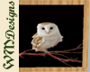 WM Owl Picture