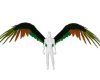 ☢ F Wings Derive
