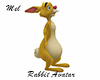 Rabbit Avatar Cartoon