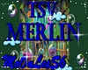 TSV - Merlin