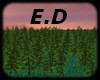 [E.D TREE FOREST V3]