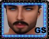GS ALFONSO MODEL HD HEAD