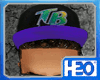 H2O|TB Rays MLB Fitted