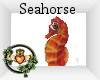 ~QI~ Seahorse