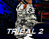 DUBSTEP TRIBAL 2