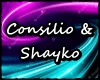 Consilio & Shayko