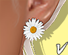 🌼 Daisy Earrings
