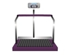 Purple Weight Scaler