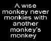 A wise monkey ...