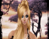 HAIR DORADO ♥