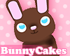 ♥Chocolate Bunny