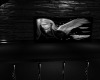 DARK ANGEL CELLAR