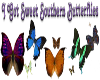 Southern Butterflies