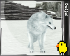 white wolves / PET