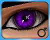 Gleam eyes - Purple