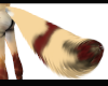 Fox Dragon Tail (M)