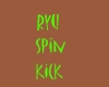 ryu spin kick
