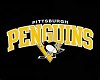 Pitsburgh Peguins Couch