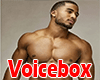 Sexy Male VoiceBox