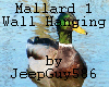Mallard 1