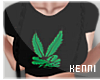 Kenni| Peace Pot