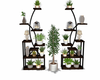 Deco plantes