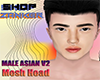 MALE ASIAN MESH HEAD V2