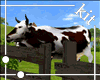 [Kit]Cow