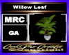 Willow Leaf