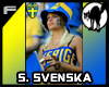 S. Svenska poster 002