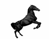 BLACK BEAUTY STATUE