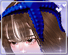 Starfish head royal blue