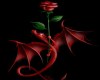 dragon with rose