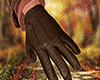Autumn Gloves