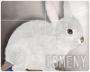 [Is] Time 4 Tea Rabbit