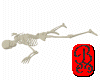 Laying Tailed Skeleton