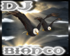 EPIC Eagles DJ LIGHT