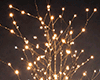 No. 25 Winter Glow Tree