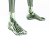 feet greeny squeleton