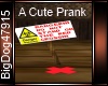 [BD] A Cute Prank